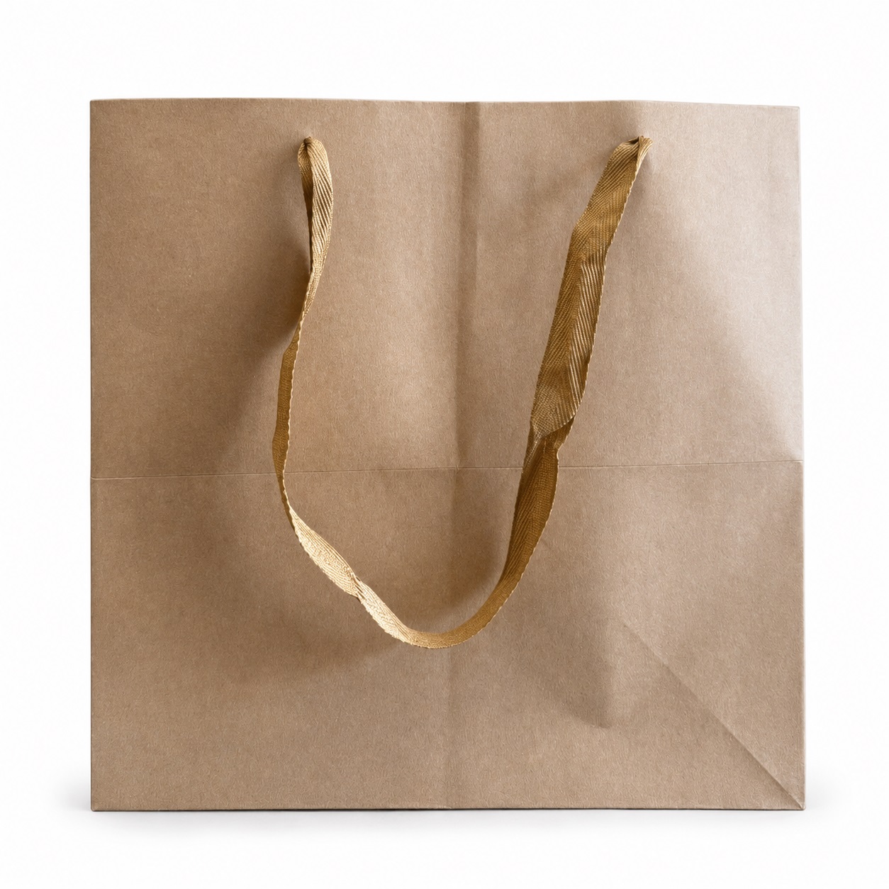 Carton Bag
